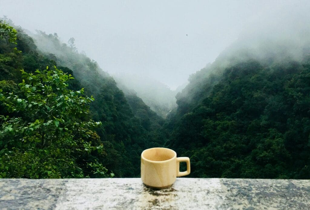 pexels-photo-641038-641038 A soothing morning tea in a cup overlooking a misty mountain landscape, perfect for relaxing outdoors.