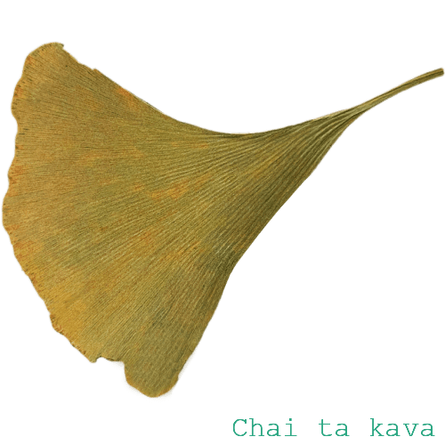 Чай Листя Гінгко, банка 30г 2 Чай Листя Гінгко, банка 30г - Зображення 2