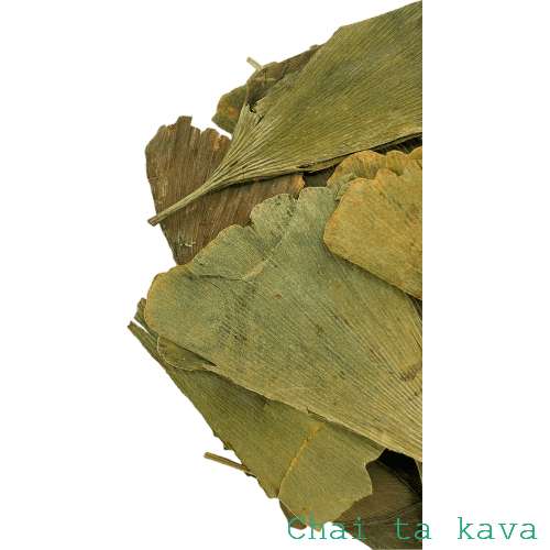 Чай Листя Гінгко, банка 30г 3 Чай Листя Гінгко, банка 30г - Зображення 3