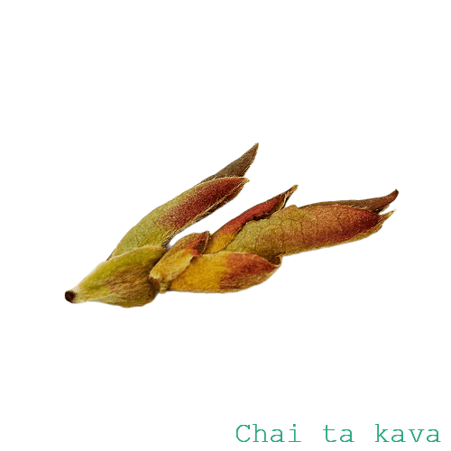 Чай Пуер 'Пурпурова брунька старого дерева' (Цзи Я Бао) 3 Чай Пуер 'Пурпурова брунька старого дерева' (Цзи Я Бао) - Зображення 3